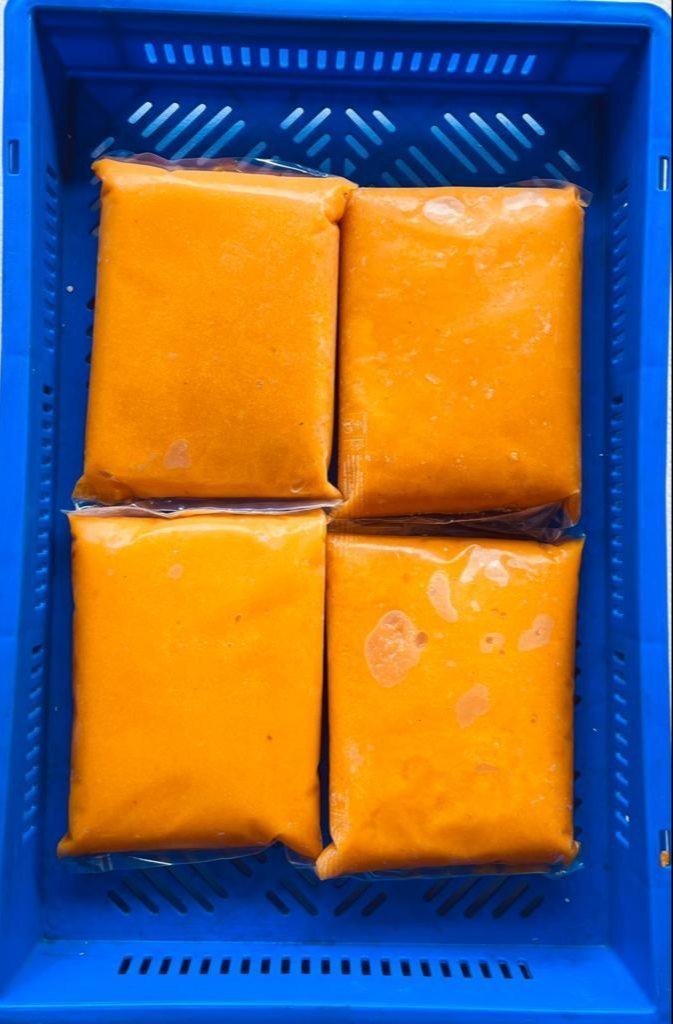 Frozen Mango Pulp