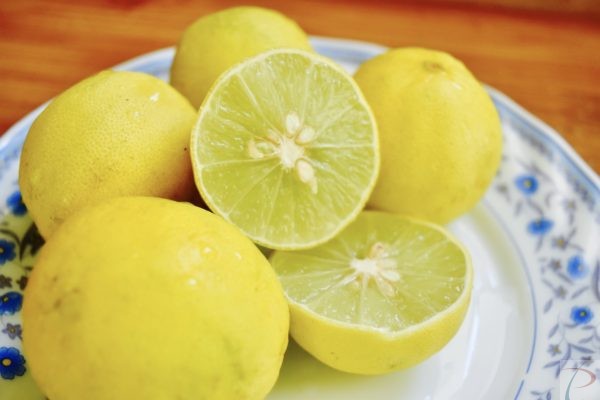 Lemon