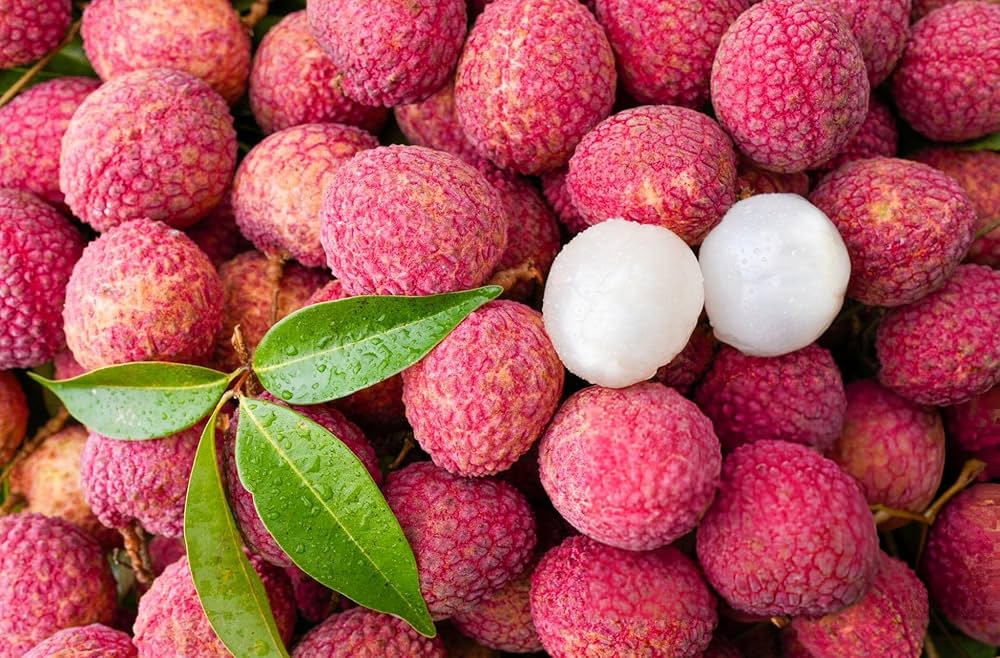Litchi