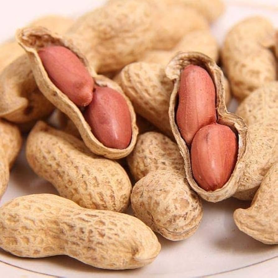 Groundnut (Peanut)