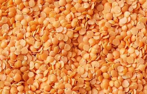 Lentils