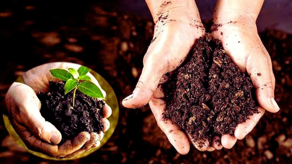 Organic Fertilizer