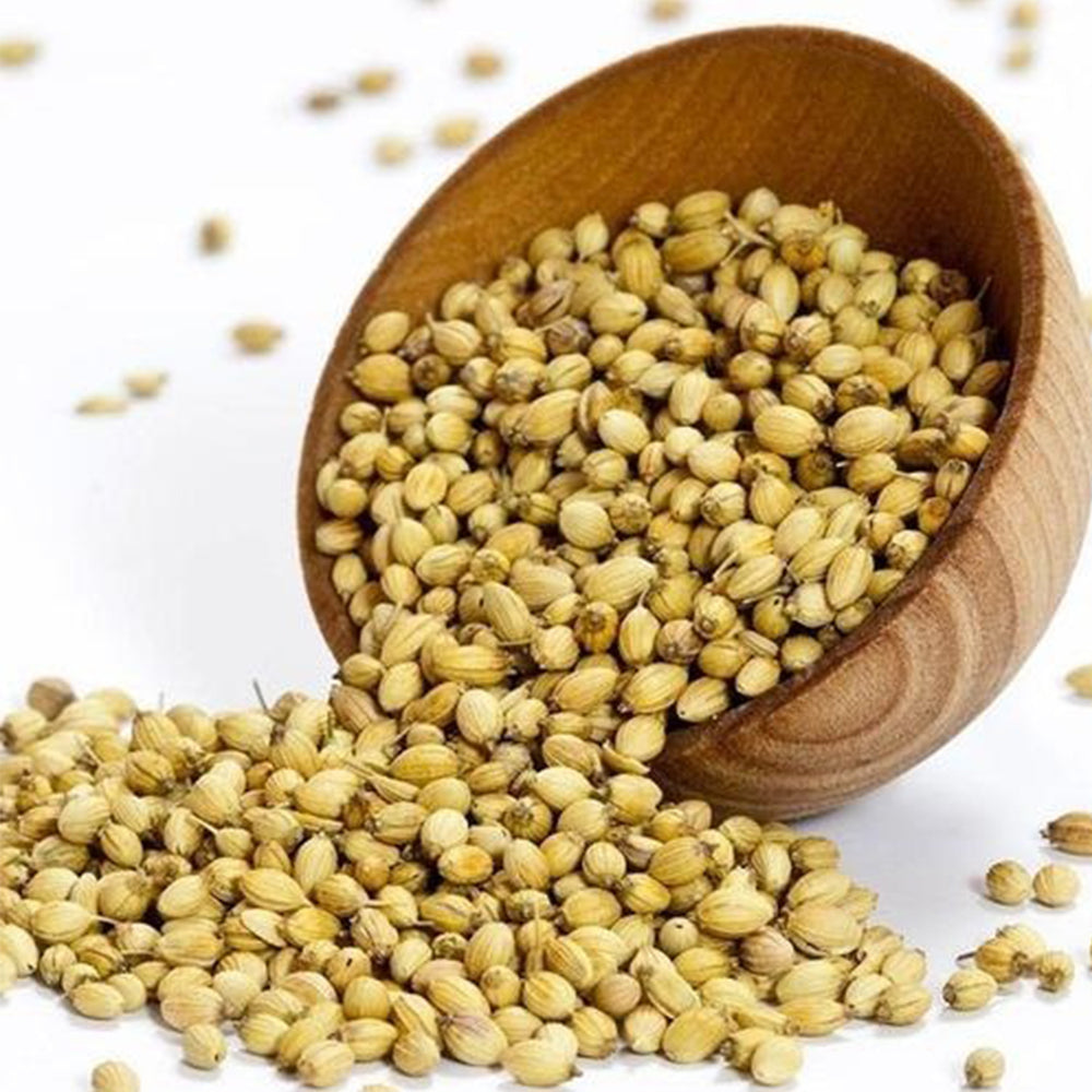 Coriander Seeds