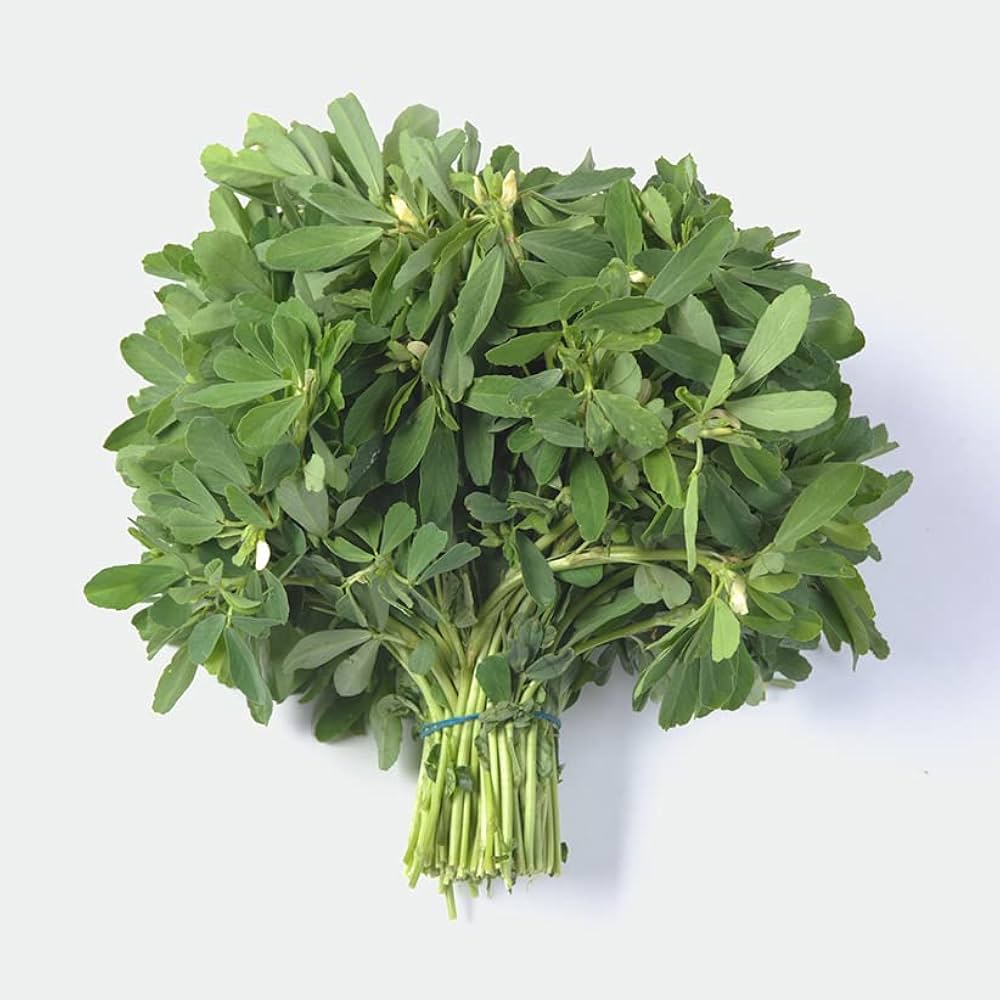 Fenugreek Leaves
