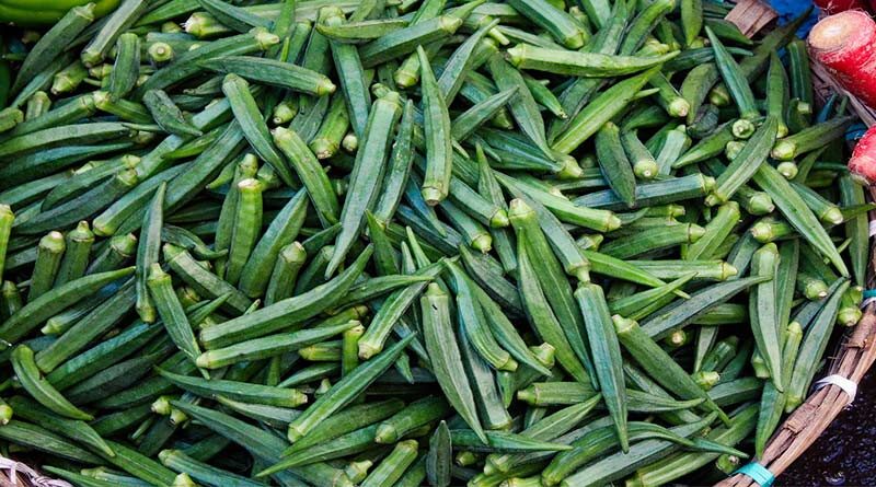 Okra (Lady Finger)